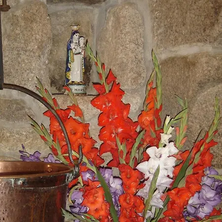 Bed & Breakfast Ty Dreux Entre Terre Et *